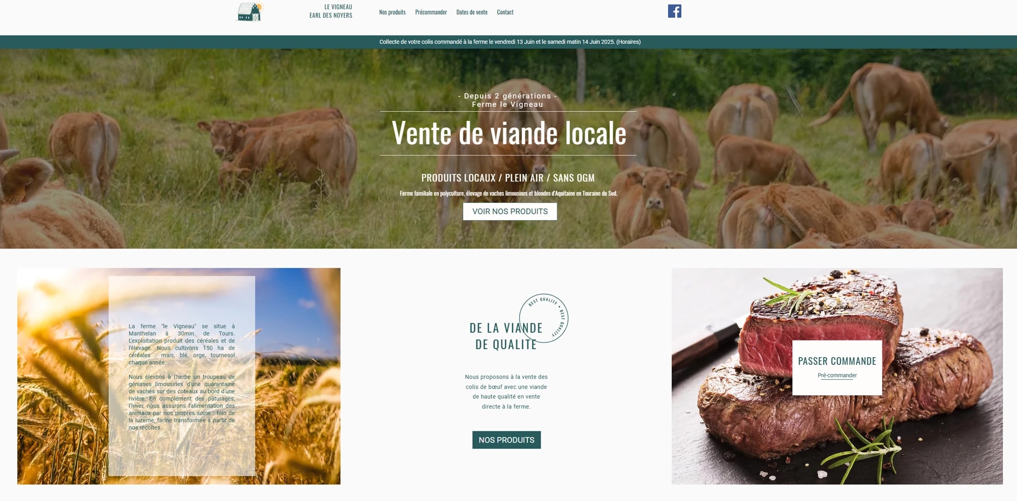 Site web Vigneau — réalisation Chill Studio